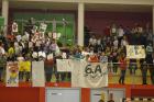 Lino (7)