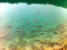 Plitvice8
