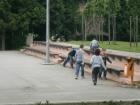 P5020344 (Small)