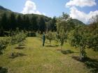 P5080375 (Small)