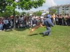 Policijski Pas Akcija 1.