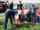 Sadnja Drveta 21.09 061