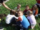 Sadnja Drveta 21.09 083