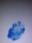 6 (5)
