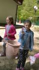 ZELENA ISTKA 2017 (2)