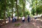Park (113)