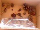 IMG_20231005_110659_943