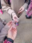 IMG-20240515-WA0004