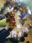 IMG_20221020_124124