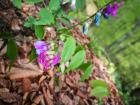 IMG_20180414_145651