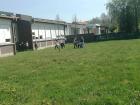 IMG-A1290df483f3c4d55616f1804c36cfdb-V