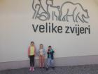 Viber_slika_2022-05-24_21-20-18-080