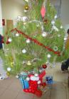 DSC08039