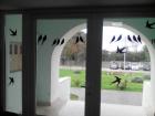 IMG_20151014_092858