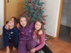 PS-Lisicic (39)