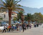 IMG-20221015-WA0005