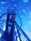 IMG-20230519-WA0015