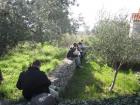 SaUvajmo_BijaE00005