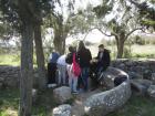 SaUvajmo_BijaE00009