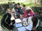 SaUvajmo_BijaE00018