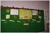 DSC01195 (Small)