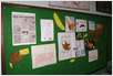 DSC01200 (Small)