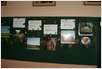 DSC01201 (Small)
