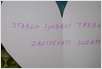 DSC01324 (Small)