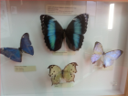 20150203_121625 (Resized)