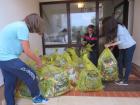 IMG_1987_640x480