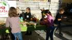 20151020_091915_800x450
