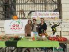 IMG_2151_800x600