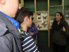 IMG_3733_800x600