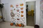 IMG_4815_800x533