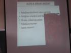 IMG_3904_800x600
