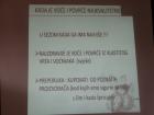 IMG_3911_800x600