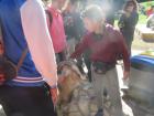 IMG_4248_800x600