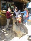 IMG_4249_450x600