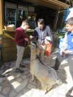 IMG_4251_450x600
