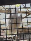 IMG_4257_450x600