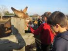 IMG_6454_800x600