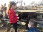 IMG_6457_800x600