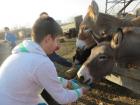 IMG_6458_800x600