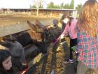 IMG_6461_800x600
