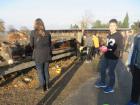 IMG_6462_800x600