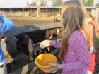 IMG_6465_800x600