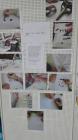 IMG_20170203_093337_337x600