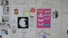IMG_20170203_093513_800x449