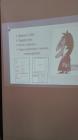 IMG_20170317_130532_337x600