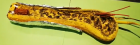 Screenshot_20200516-202313_2